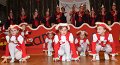 Alverdissen Karneval 2020  (57)